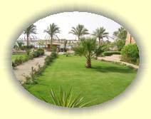 IMG_2007_05_31 11_53_16 * 2272 x 1704 * (815KB)